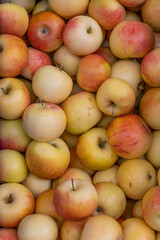 Apples