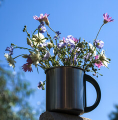 wildflowers, flax, summer mood