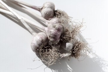 Pile of garlic view from the top. Food garlic bulb. Background texture Plant vegetable garlic. Collected bunch of heads of garlic is on a heap.