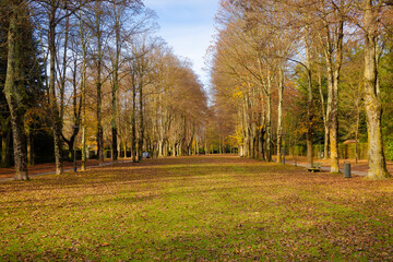 View of the Maristany promenade in autumn where the beech trees, the banana trees and the horse chestnut trees present spectacular colors. Camprodon, Catalonia, Spain.