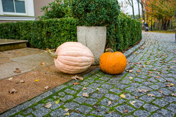 pumpkins lying on the doorstep of the house, near the pot.
