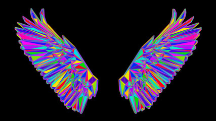 wings of the rainbow