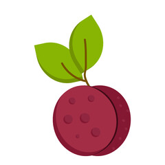Plum with Leaf Concept Vector Color Icon Design, Tropical exotic fruit shape on white background 