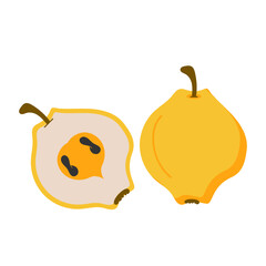 Pear with Slice Concept Vector Color Icon Design, Tropical exotic fruit shape on white background 