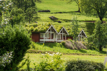 unique constructions, with a green roof, in the middle of the forest