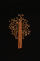 Allspice and cinnamon stick shaped like a tree. Close-up. Black background. Healthy food. View from above.