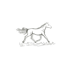 Obraz premium Set of hand drawn horses, vector illustration, sketch