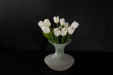 White tulips in a white vase