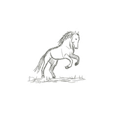 Set of hand drawn horses, vector illustration, sketch