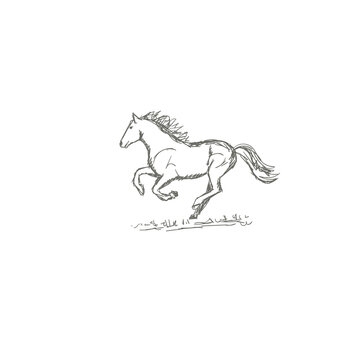 Set of hand drawn horses, vector illustration, sketch