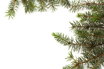 Pine branches isolated on white background, seamless pattern. Christmas and New Year background.