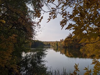 Пруд Либерский
