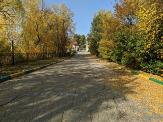 ДОЛ Березки