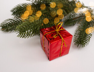 Red Christmas gift box. Present box under fir tree branch on a white background