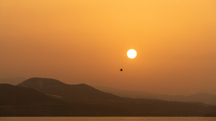Obraz premium Sunset in the canteras beach in Las palmas city