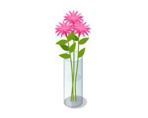 Isometric pink bouquet of flowers in transparent glass vase isolated on white background