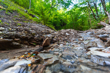 Naklejka na ściany i meble beautiful mountain stream flowing down the stones in the forest