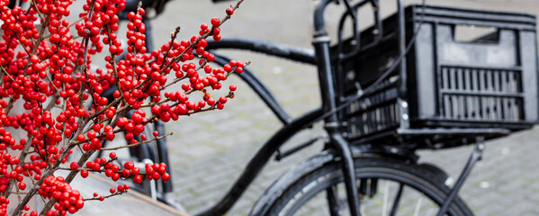Fototapeta na wymiar Christmas berry holly or ilex twigs and traditional Netherlands bike outside. Amsterdam urban winter street scenery with Christmas decoration. European New Year holidays. Long web banner