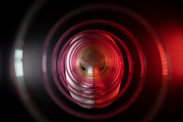 Mask with colorful swril on black background