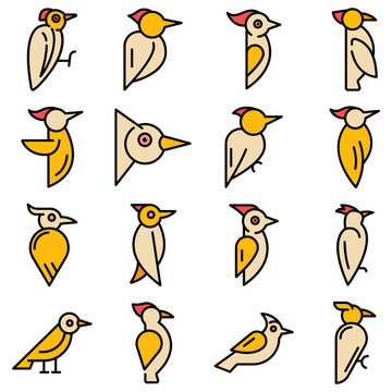 Woodpecker icons set. Outline set of woodpecker vector icons thin line color flat on white