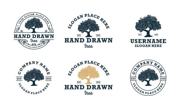 hand drawn shady tree abstract sign, symbol or logo design template