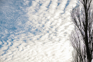 Autumn sky in the golden hour. Set Sail Champagne Color.