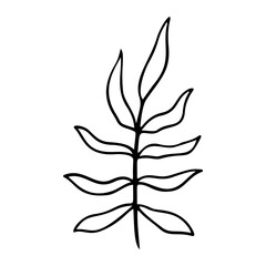 palm leaf stylized vector illustration.