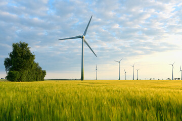 Fototapeta na wymiar renewable energies - power generation with wind turbines in a wind farm