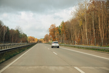 white car is driving on the highway through a forest