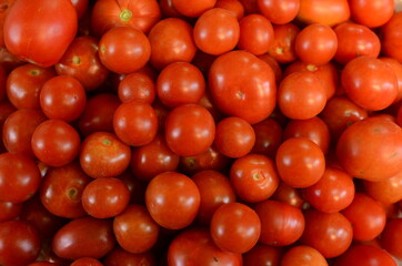 tomatoes background