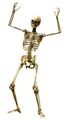 3D Rendering Human Skeleton on White