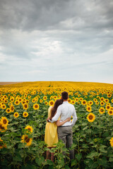 Fototapeta premium Beautiful couple having fun in sunflowers field. A man and a woman in love walk in a field with sunflowers, a man hugs a woman. selective focus