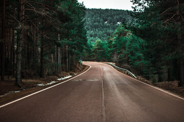 Carretera verdosa