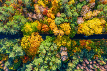 Fototapeta na wymiar Aerial view of road through colorful autumn forest