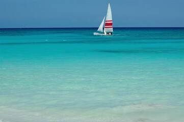 A Hobie cat surfs near a tropical beach in Playa del Carmen, Mexico. In the background the Caribbean sea and the blue sky.
