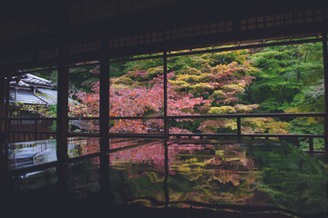 瑠璃光院, 光明寺, 京都本院, 八瀬大原, 秋, 紅葉, 日本庭園