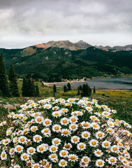 Scenic Million dollar high way. Countryside road, summer season in Colorado. Wilson Peak and the San Juan Mountains