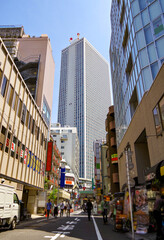 Clean and modern design architecture highrise or skyscrapers of Tokyo skyline in Shinjuku district,...