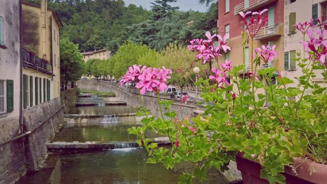 purple flowers in old italian colorful town with river creeck in Tuscany - Italy