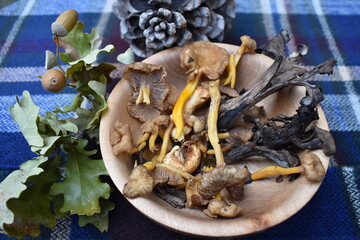 Wild mushroom mix sourced by foragers in northeast Europe where the mild wet climate is ideal for mushrooms Chanterelles Pied de Mouton Trompette de la Mort and Girolles are perfect for a festive meal