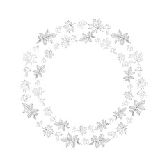 Nature background. Leaves of trees and mushrooms on a white background. Frame.