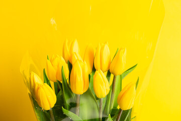 Beautiful yellow tulip. Bouquet of fresh tulips.