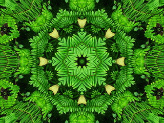 Full Frame Illustrative Background of Symmetrical Green Leaves Pattern