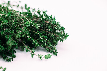 Bunch of thyme on white background