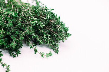 Bunch of thyme on white background
