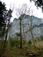 Obraz na płótnie Canvas Drachenwand via ferrata, Salzburg, Austria