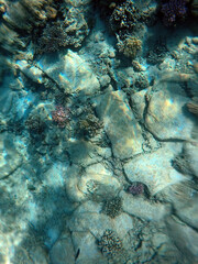 A mysterious jumble of limestone building blocks at the bottom of the Red Sea. Sharm El Sheikh, Egypt 