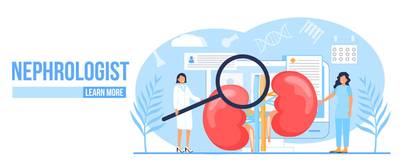 Nephropathy concept vector. Tiny doctors treat kidneys. Pyelonephritis and kidney stones diseases are shown. Renal failure illustration for website