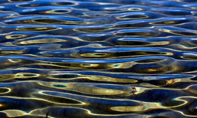 Sea Texture 2