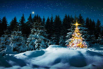 Christmas tree in winter forest and stars sky. Christmas Card.